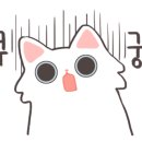 화정천서로 이미지