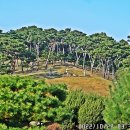 수원팔색길 여우길 이미지