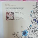 인앤한스 네이버블로그