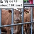 금천외양간