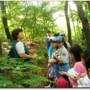 삼정초등학교 이미지