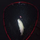 두밀리낚시터 이미지