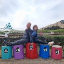 제주투어매니저