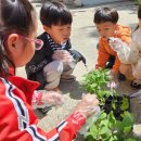 대덕초등학교유치원 이미지