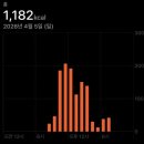 GS25 사당네스코 | 관악산 연주대 사당역 등산 코스 난이도 초보 소요시간 5시간 후기