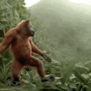 자연속으로 나를 찾아서 이미지