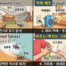 해피홈약국 매일경제