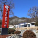 영월지오뮤지엄 이미지