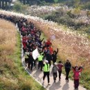 위례강변길 이미지