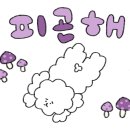 다연훠궈