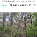 9월 30일 (토요)낙성공원 강감찬길 사당행 둘레길 이미지