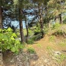 분수3리 이미지