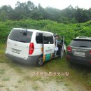 강순용명품버섯사랑