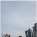 거제카고크레인