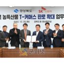 넷스토아 이미지