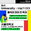 서울대,홍익대 비실기미술대학 수시70%컷공개 (서울대 디자인학,고고미술사학,미학홍익대 미술대학전학과) 학과별합격 수행평가정리 이미지