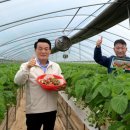 백성현 농장 이미지