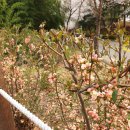 환경소재공학과 공장동 이미지