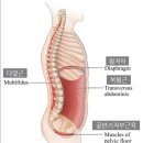 웅Gym 이미지