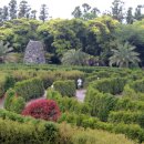 메이즈랜드 이미지