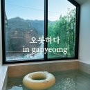 프라이빗 수영장이 있는 가평애견글램핑 ‘오롯하다’ 후기