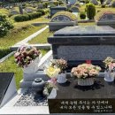 노엘