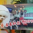 수안체육관 이미지