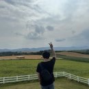 [훗카이도 6박7일 자유여행] Day5:: 비에이&amp;후라노 버스투어(2)｜비에이 풍경이 보이는 언덕, 사계채의...