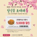 코코할인매장 이미지