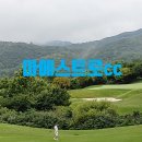 마에스트로 CC | 부부골퍼가 반한 마에스트로CC 6월 라운드 후기｜잔디 상태 미쳤다!
