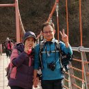 충주호 종댕이 이미지