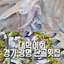 대박이회
