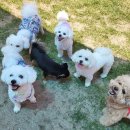 멍아일랜드 이미지