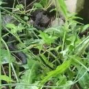 돌담경로당 이미지