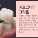 용인보스톤치과의원 이미지