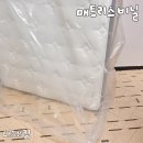비에스1호 | 매트리스 비닐 원룸이사 셀프 준비는 다패킹 아이템 후기