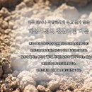 이드레펜션 네이버블로그