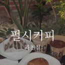 십일시커피 | [펄시커피 과천] 커피와 책 모두 즐길 수 있는 대형카페 | 내돈내산 솔직후기
