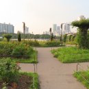 공원 이미지