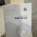 노원성모안과의원 네이버블로그