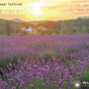 모래벌농장 이미지