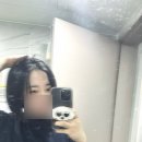 모찌 애견동반가능한 헤어샵: 대구 북구 칠곡 구암동 어도러블헤어 미용실 다녀온 후기