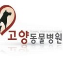 지니독 이미지