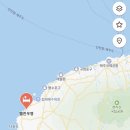 벨진우영 | 제주 서쪽 숙소 펜션 추천 벨진우영 후기 내돈내산 제주도 펜션