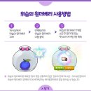 190829 메이플 캐시 업데이트 - 위습의 원더베리&amp;루나 크리스탈(자석펫)
