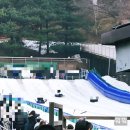 12월 크리스마스시즌!! 에버랜드 방문후기 (feat.러바오&amp;푸바오, 윈터토피아, Live나비체험관 정보)