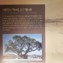 달성습지생태학습관 티스토리