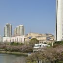 🥗🍅🥦 송파구 문화실험공간호수: 재능발견 연구소 쿠킹 클래스 후기