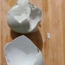 우 드림농장 이미지