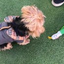 카페휴개 이미지